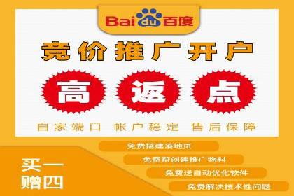 SEM竞价代运营实战技巧与案例